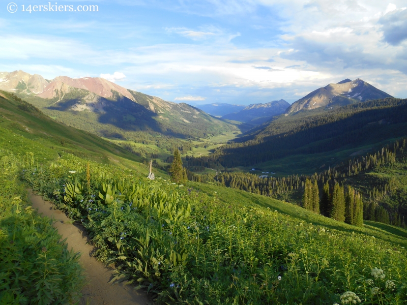 Evening light on trail 401 near Crested Butte