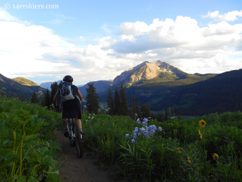 trail 401 near Crested Butte