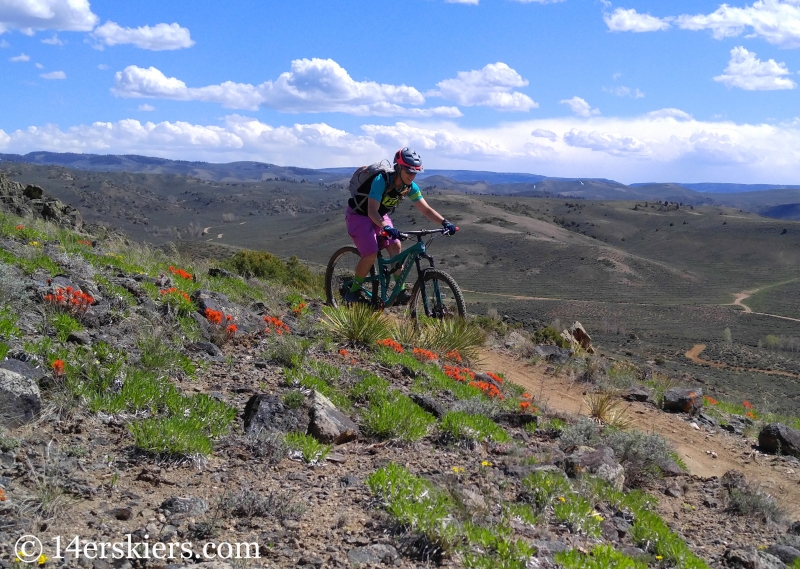 Enjoying spring colors while mountain biking the wonderful singletrack at Hartman Rocks.