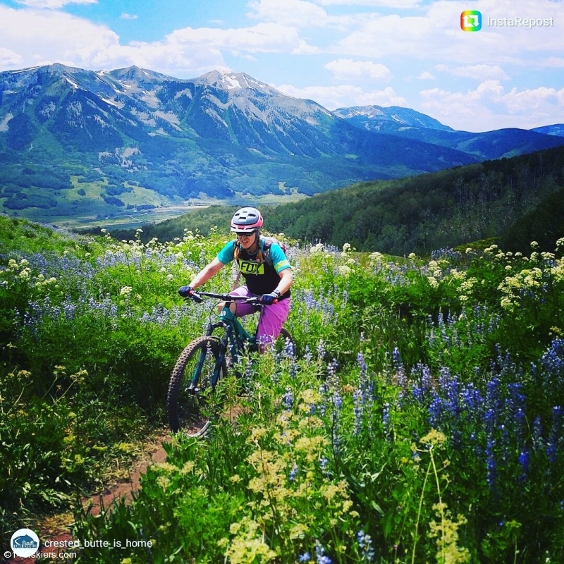 Riding among the wildflowers in July!