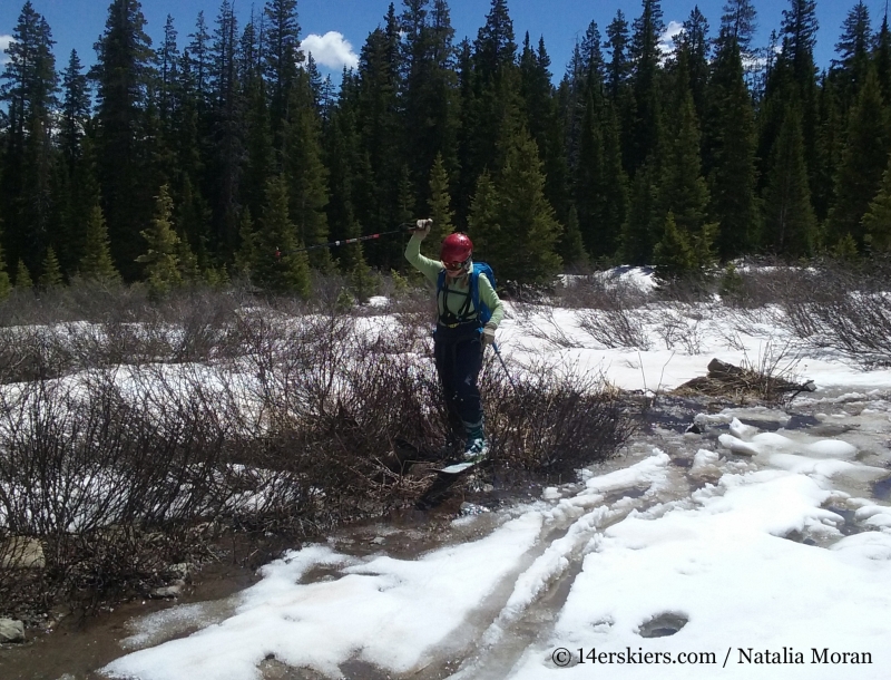 Brittany Walker Konsella bashing willows with skis.