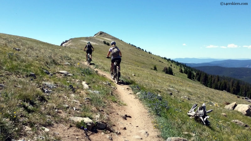 mountain biking mountain crest