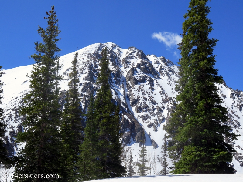 What Big Eyes You Have in the Gore Range.