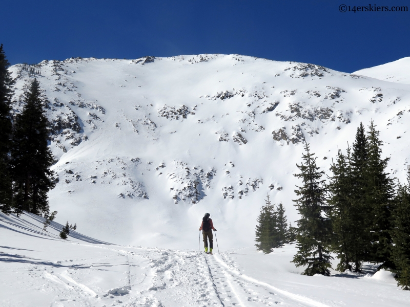 Stammberger face of ski hayden