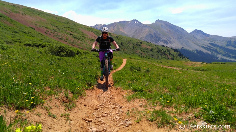 Mountain biking trail 583 near Crested Butte.