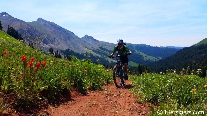 Frank Konsella mountain biking trail 583 near Crested Butte.