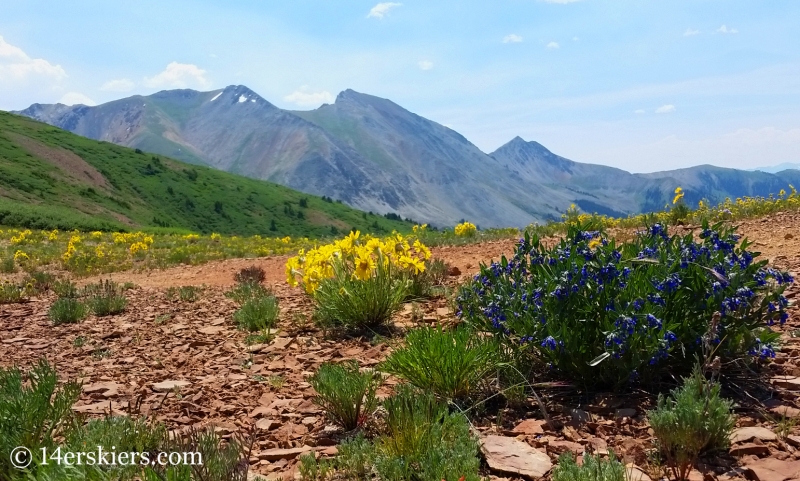 Views from 583 near Crested Butte.