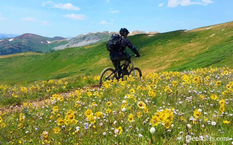 Larry Fontaine mountain biking Star Pass near Crested Butte.