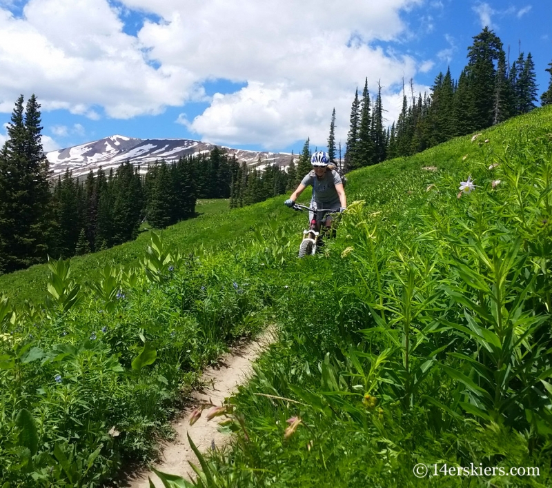 Natalie Moran mountain biking on Trailriders 401 near Crested Butte, CO.