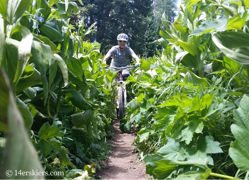 Natalie Moran mountain biking on Trailriders 401 near Crested Butte, CO.