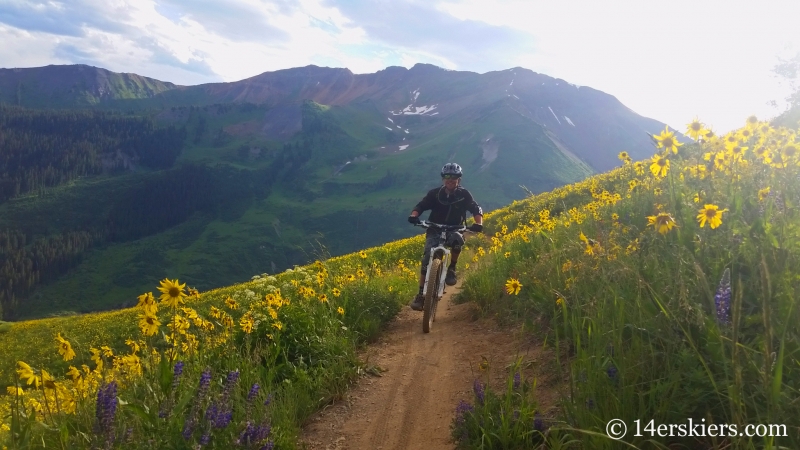 Larry Fontaine mountain biking 401 near Crested Butte, CO.