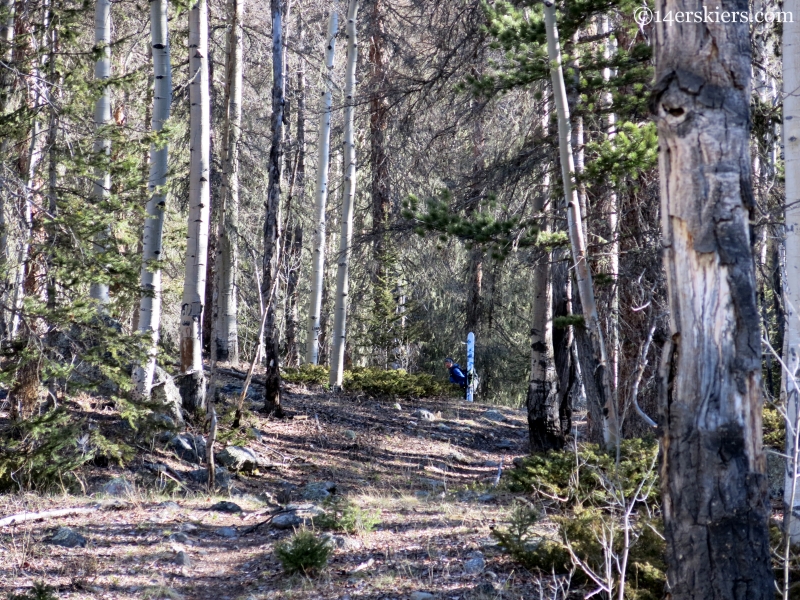 Mount Adams approach