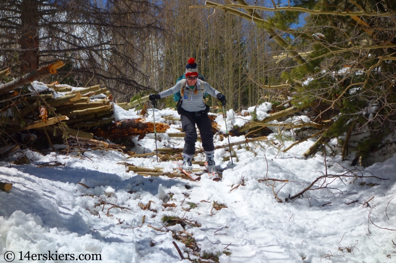 Backcountry skiing Mt. Aetna