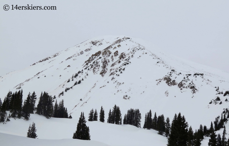 Cinnamon near Crested Butte