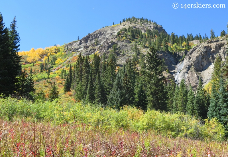 Meadow near Anthracite Falls near Crested Butte