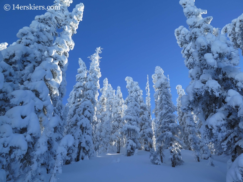 Crested Butte backcountry