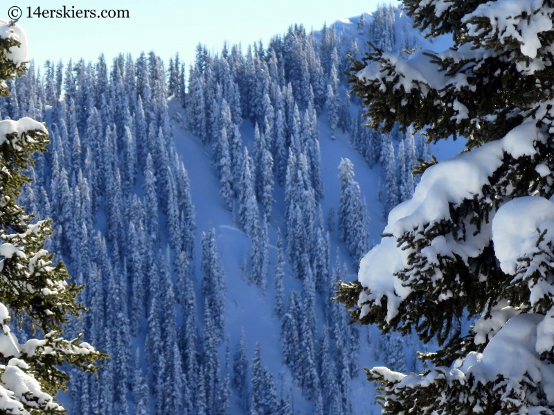 slide near crested butte