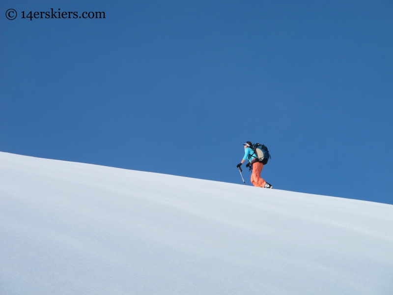 Susan Mol skinning