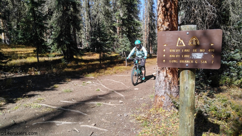 colorado trail near gunnison