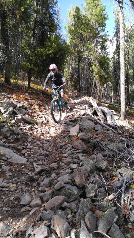 dutchman trail near gunnison mtb