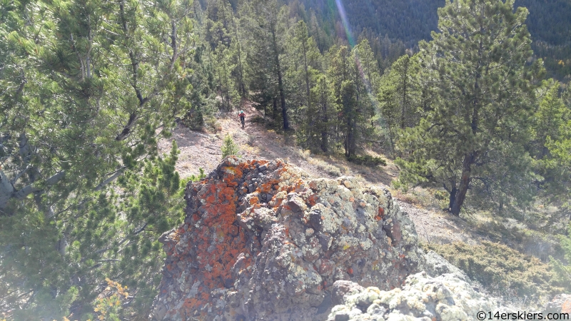 Hicks gulch trail needle creek area near gunnison