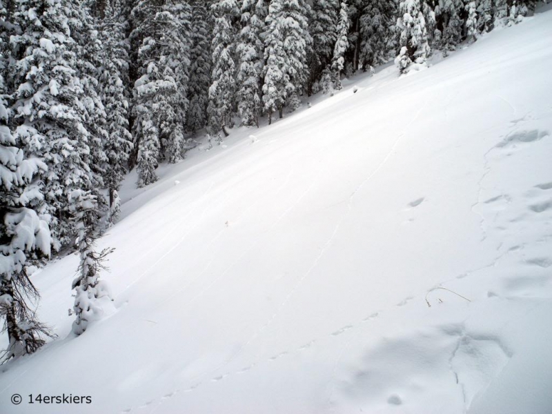 Avalanche awareness while backcountry skiing.