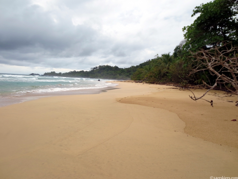 wizard beach bocas del toro