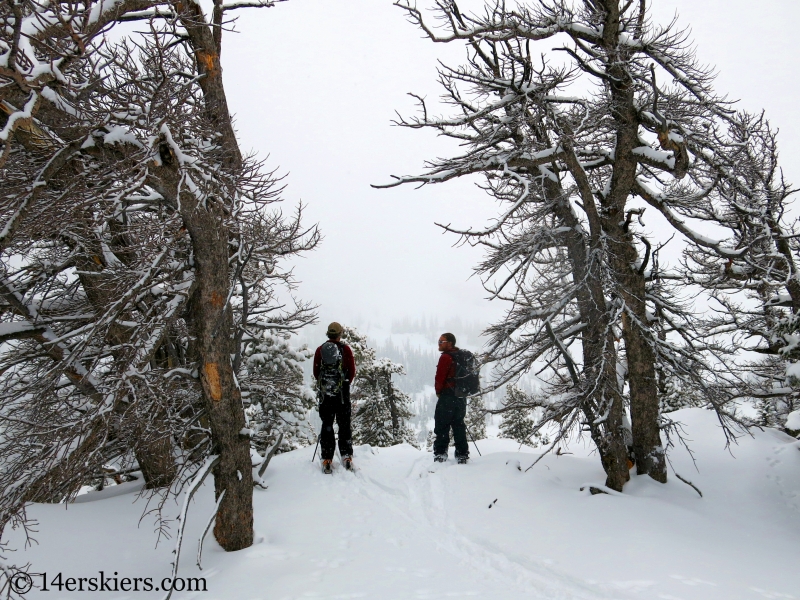 Backcountry skiing the Bear Lake zone in Rocky Mountain National Park.