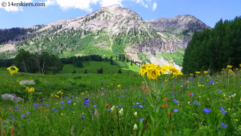 Beautiful scenery while hiking the Beckwith Bench Trail. 