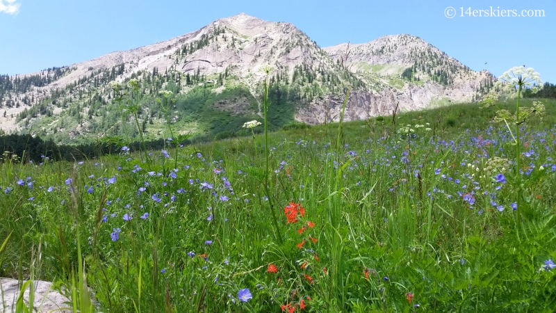 Wildflowers with East Beckwith. 