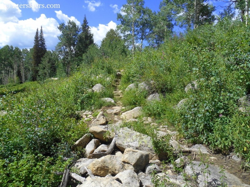 Beckwith Bench trail near Crested Butte