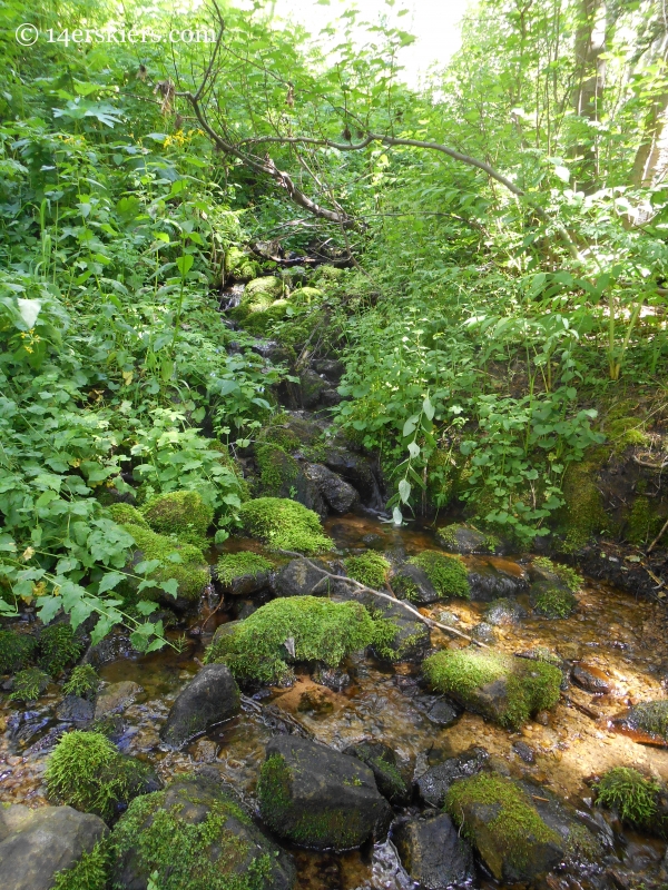 stream on the Beckwith Bench Trail
