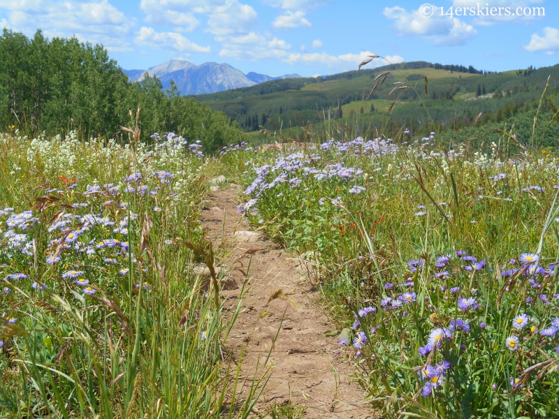 Beckwith Bench trail near Crested Butte