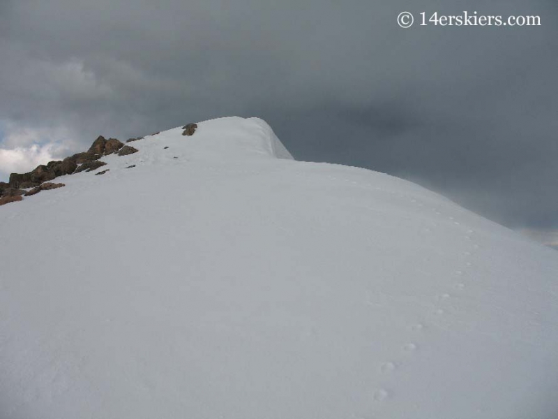 Mountain goat tracks on Mt. Bierstadt. 