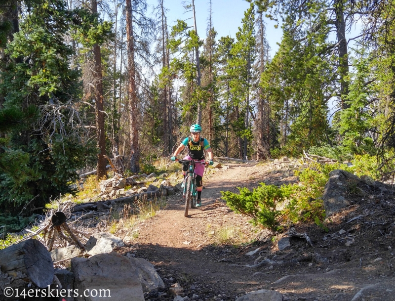 Mountain biking Colorado Trail Segment 17 to Big Bend