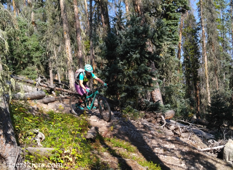Mountain biking Colorado Trail Segment 17 to Big Bend