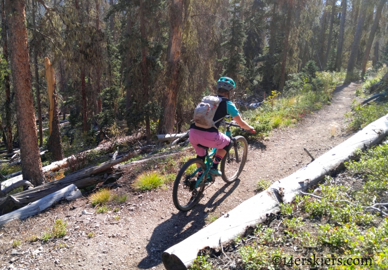 Mountain biking Colorado Trail Segment 17 to Big Bend