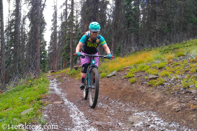 Mountain biking Colorado Trail Segment 17 to Big Bend