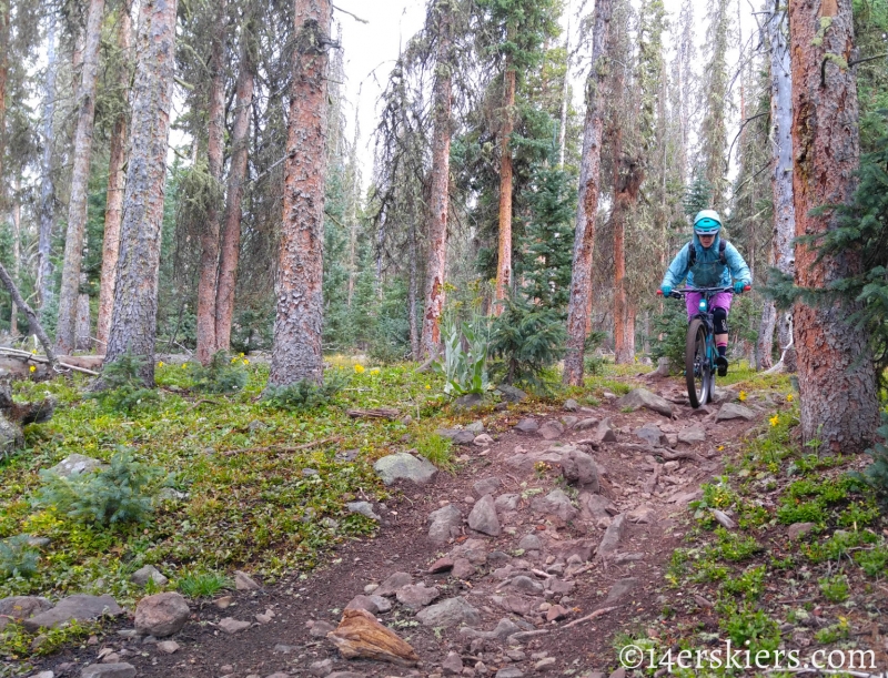 Mountain biking Colorado Trail Segment 17 to Big Bend