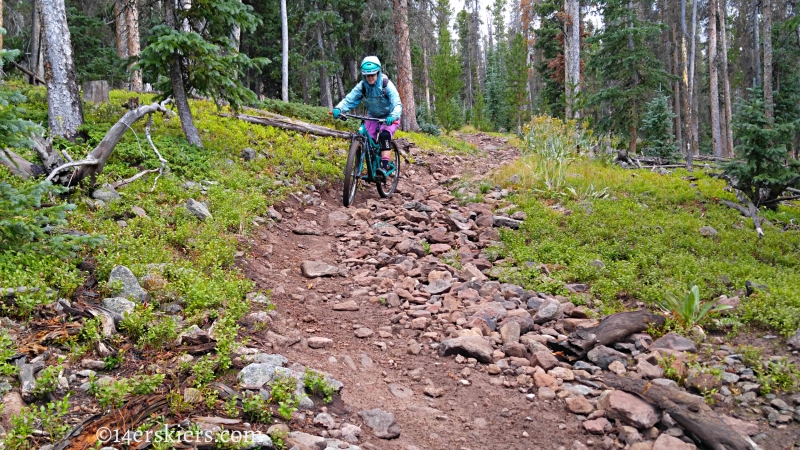 Mountain biking Colorado Trail Segment 17 to Big Bend