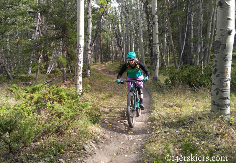 Mountain biking Colorado Trail Segment 17 to Big Bend