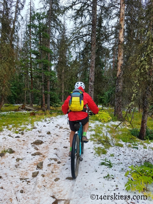 Mountain biking Colorado Trail Segment 17 to Big Bend