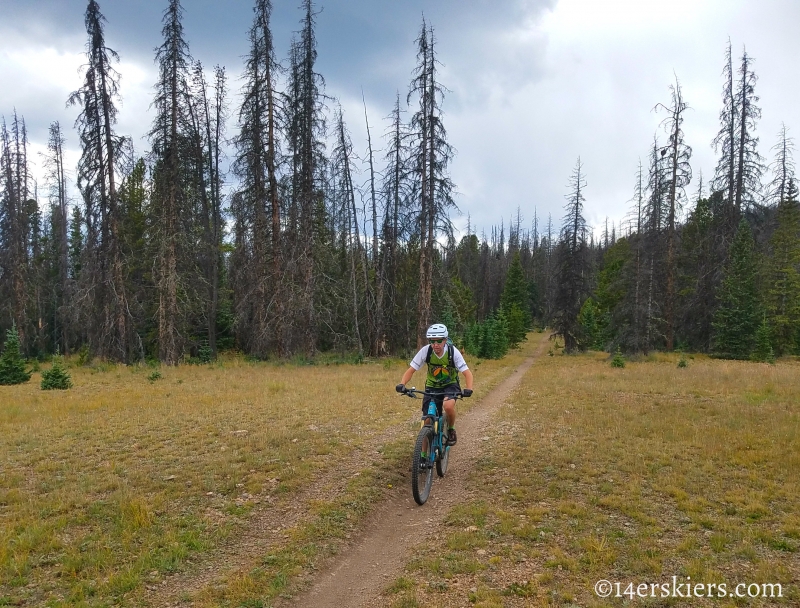 Mountain biking Colorado Trail Segment 17 to Big Bend