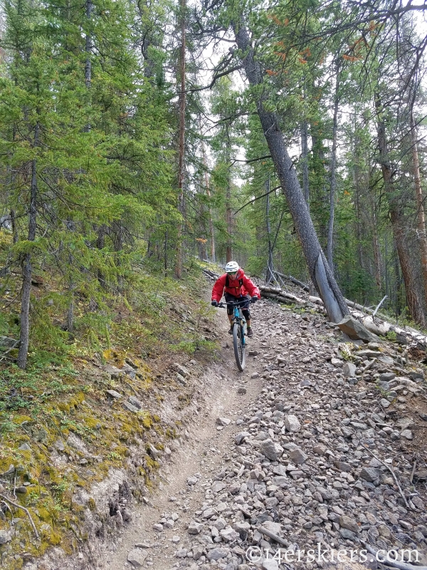 Mountain biking Colorado Trail Segment 17 to Big Bend