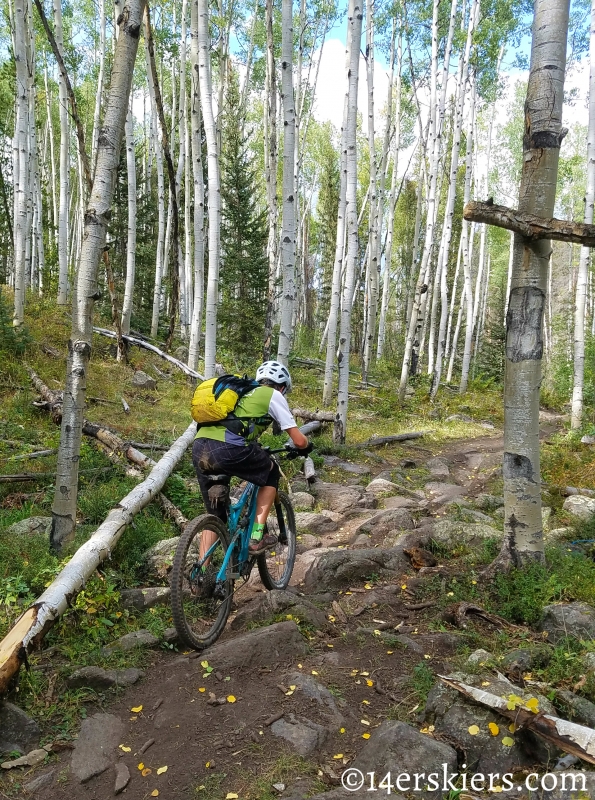 Mountain biking Colorado Trail Segment 17 to Big Bend