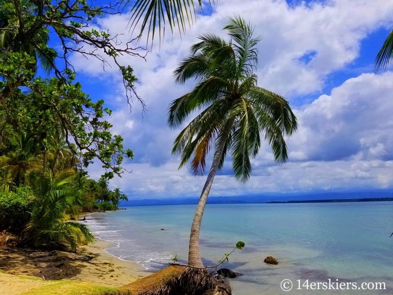 Hike to Starfish Beach in Panama.