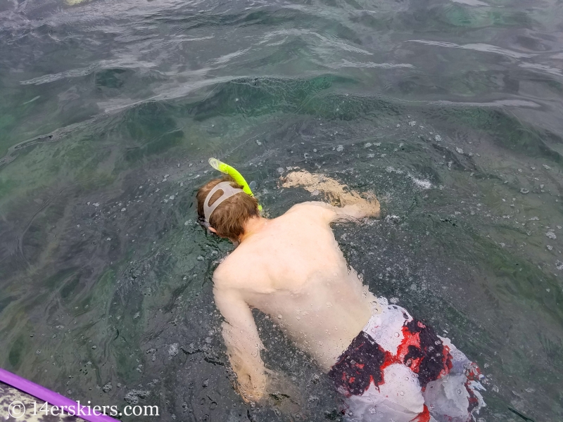 Frank Konsella snorkeling in the Caribbean near Bocas del Toro, Panama.