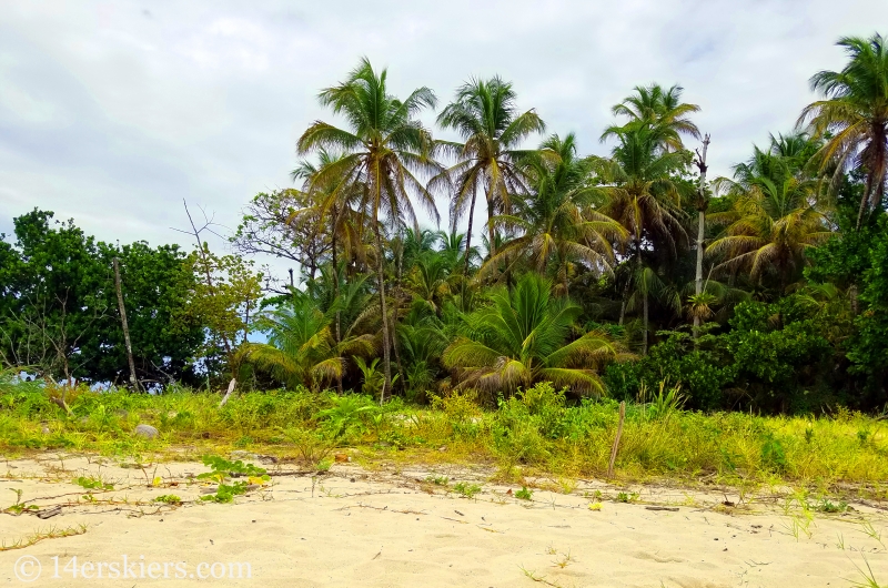 Zapatilla Beach in Panama.