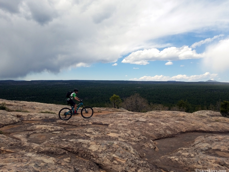 bean canyon boggy draw