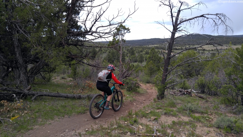 bean canyon boggy draw mtb